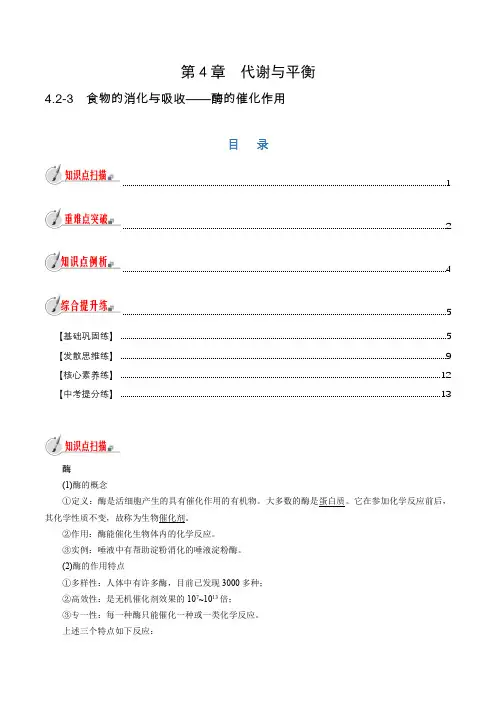 专题4.2-3 食物的消化与吸收——酶的催化作用-2024-2025学年九年级科学上册同步学习(浙教
