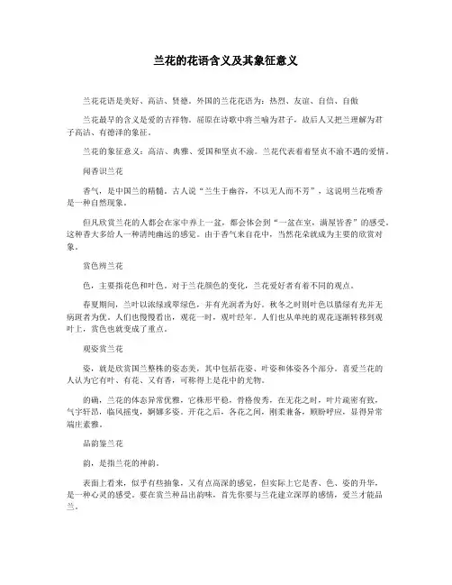 兰花的花语含义及其象征意义