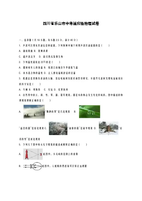 2020-2021学年四川省乐山市中考适应性物理试卷及答案解析