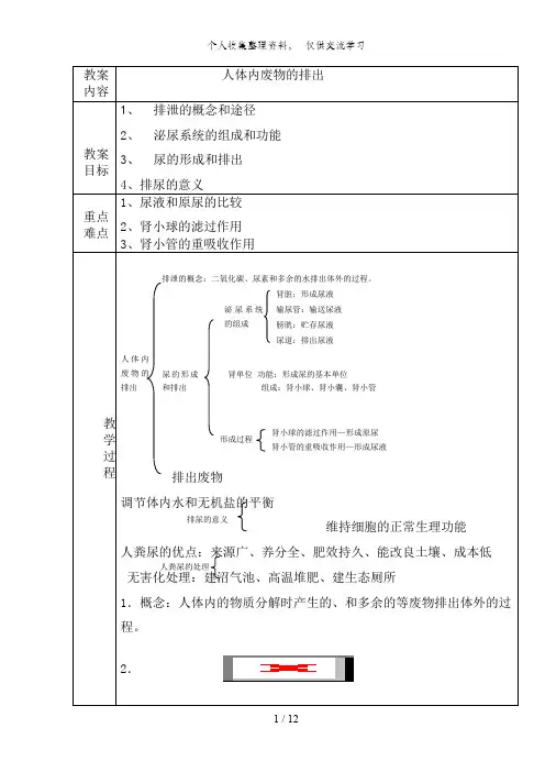 初二生物人体废物的排出教案