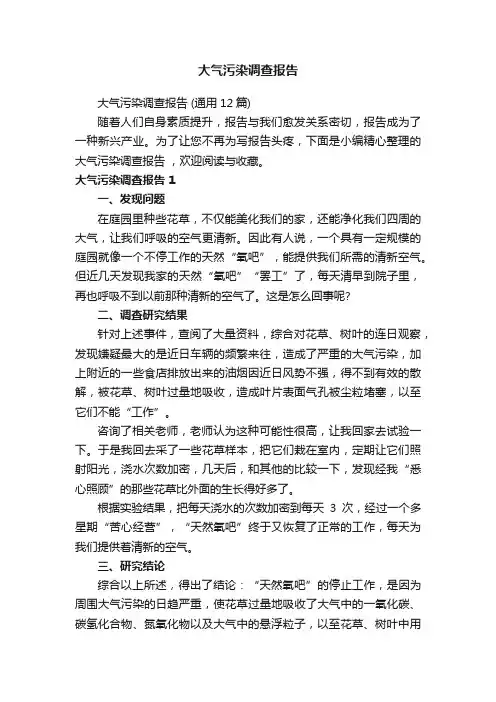 大气污染调查报告