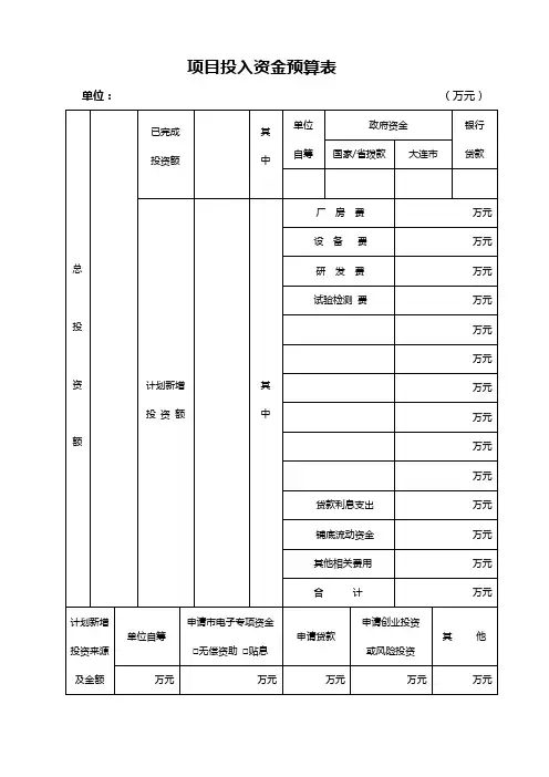项目投入资金预算表