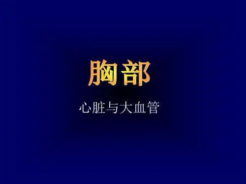 心脏与大血管-ppt课件