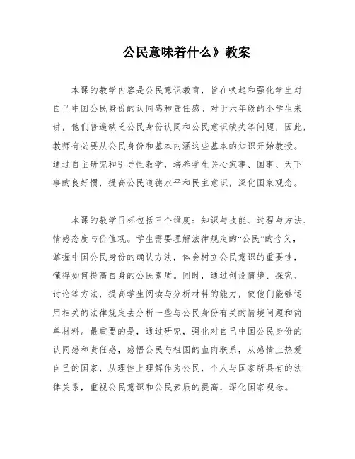 公民意味着什么》教案