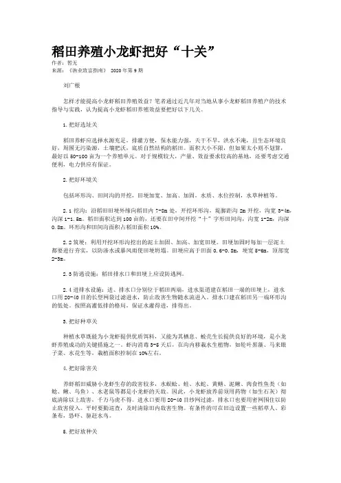 稻田养殖小龙虾把好“十关”
