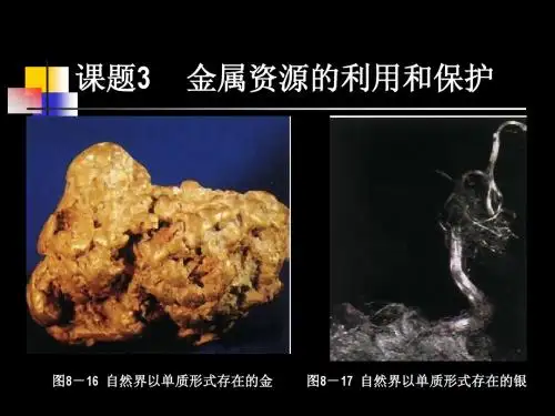 课题3 金属资源的利用和保护3第1讲.ppt课件