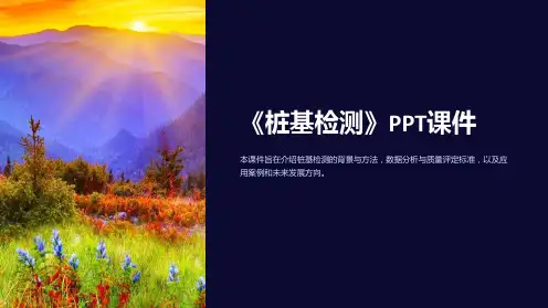 《桩基检测》课件