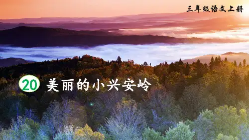 《美丽的小兴安岭》精品课件(第一课时)