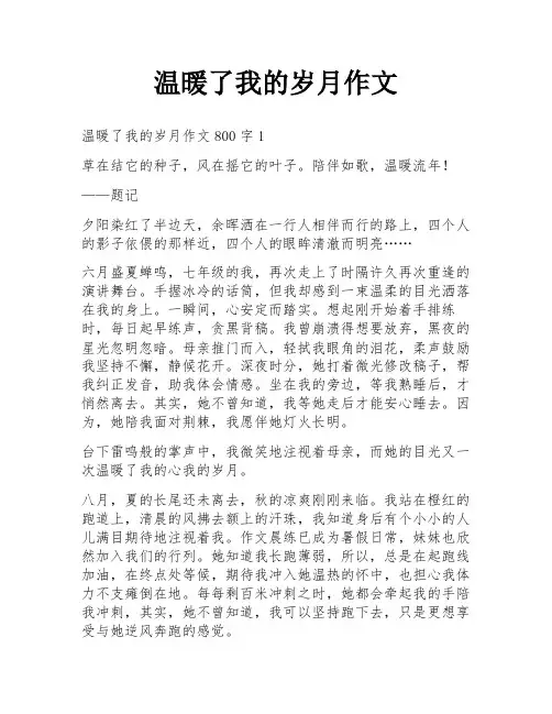 温暖了我的岁月作文