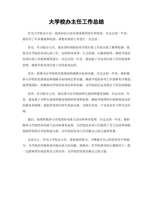 大学校办主任工作总结