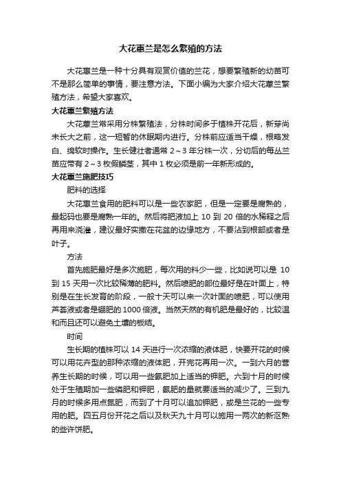 大花蕙兰是怎么繁殖的方法