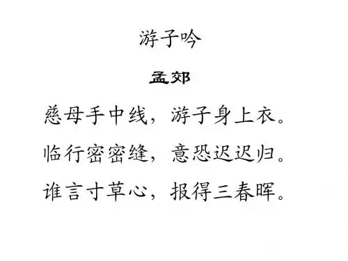 《母亲的恩情》课件