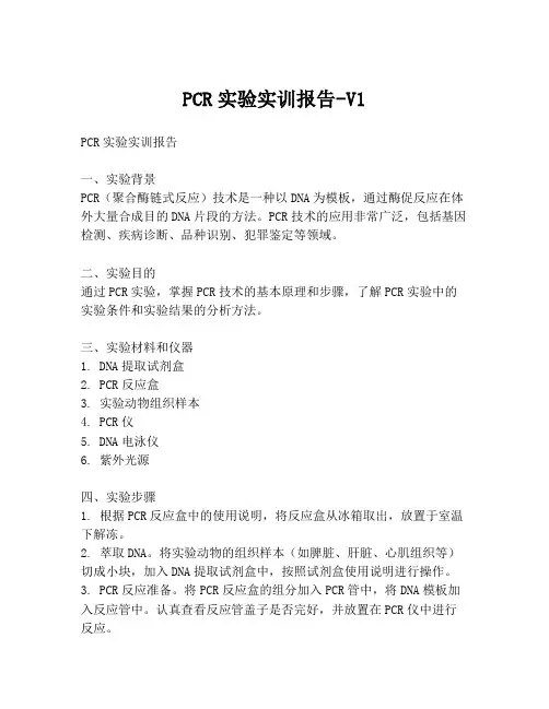 PCR实验实训报告-V1