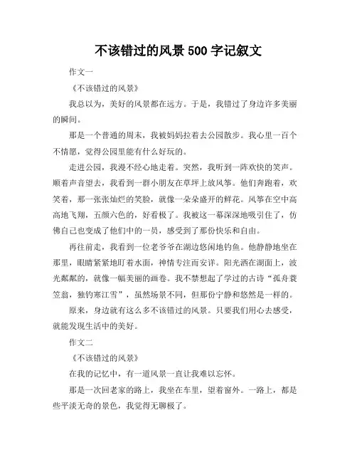 不该错过的风景500字记叙文