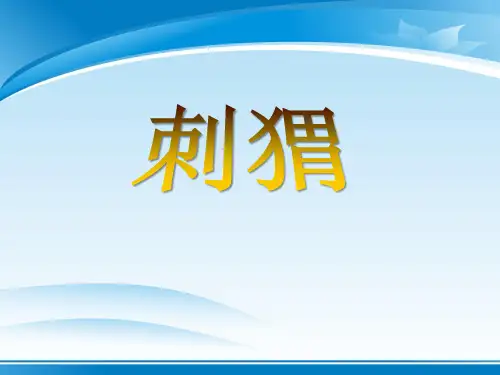 《刺猬》PPT【推荐PPT课件】