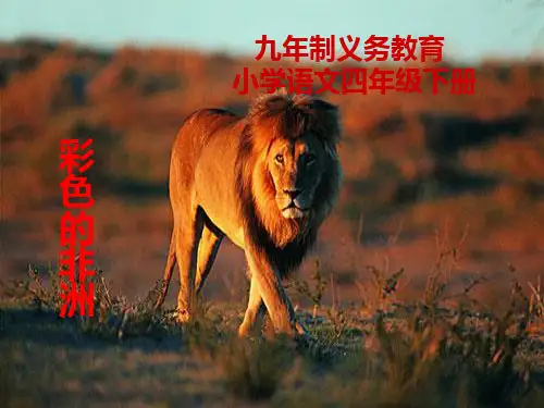 彩色的非洲课件(PPT 52页)