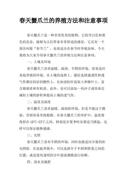 春天蟹爪兰的养殖方法和注意事项