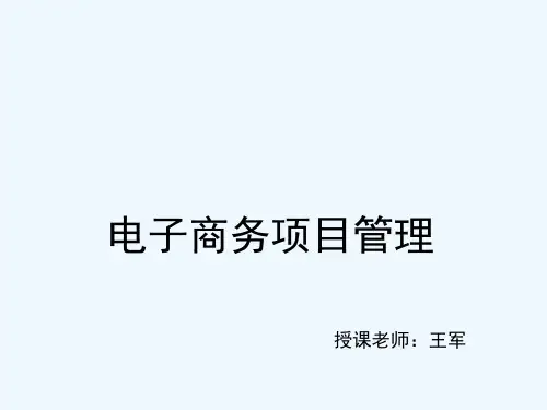 电子商务项目管理概述