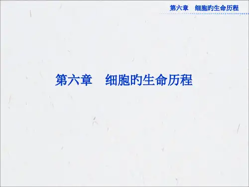 人教版生物必修1全册-第六章-第1节市公开课获奖课件省名师示范课获奖课件