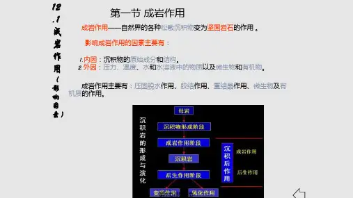 地质学基础PPT课件