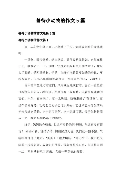善待小动物的作文5篇