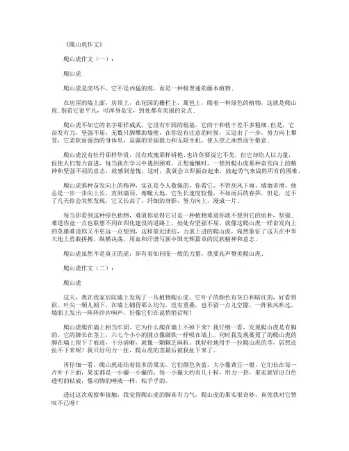 爬山虎作文(共12篇)