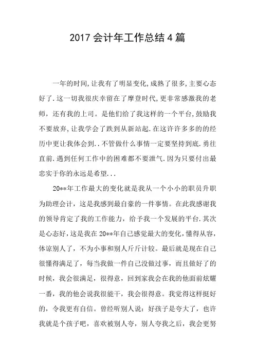 2017会计年工作总结4篇