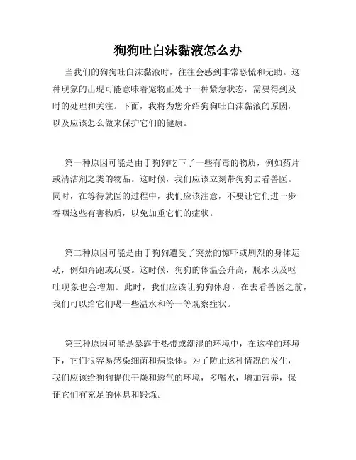 狗狗吐白沫黏液怎么办