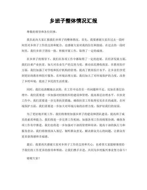 乡班子整体情况汇报
