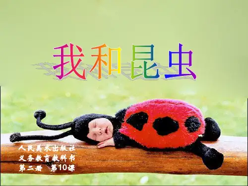 《我和昆虫》ppt课件(3篇)