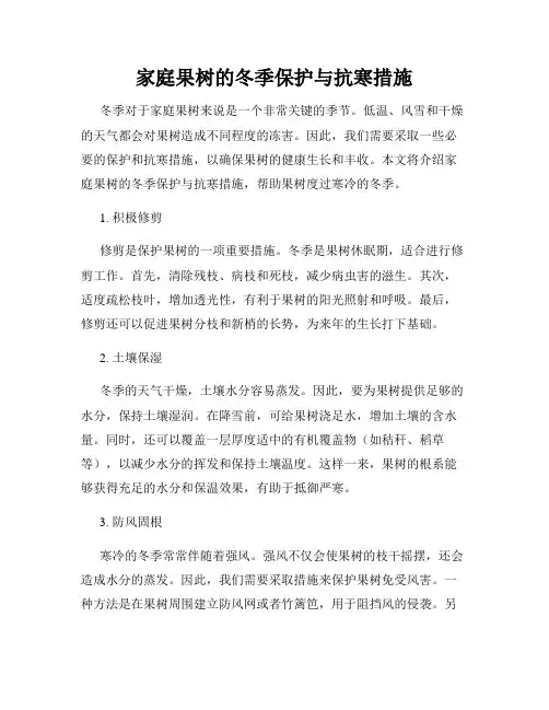 家庭果树的冬季保护与抗寒措施