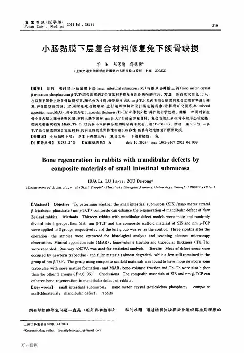 小肠黏膜下层复合材料修复兔下颌骨缺损