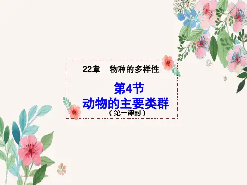 北师大版生物八年级下册22章4节动物的主要类群二课时精品课件