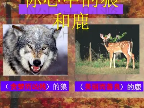 人教版小学语文六年级上册《第四组：14鹿和狼的故事》公开课课件_1