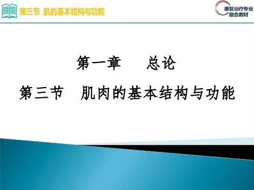 1.3.第一章 总论 第三节 肌肉的基本结构与功能