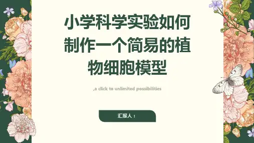 小学科学实验如何制作一个简易的植物细胞模型