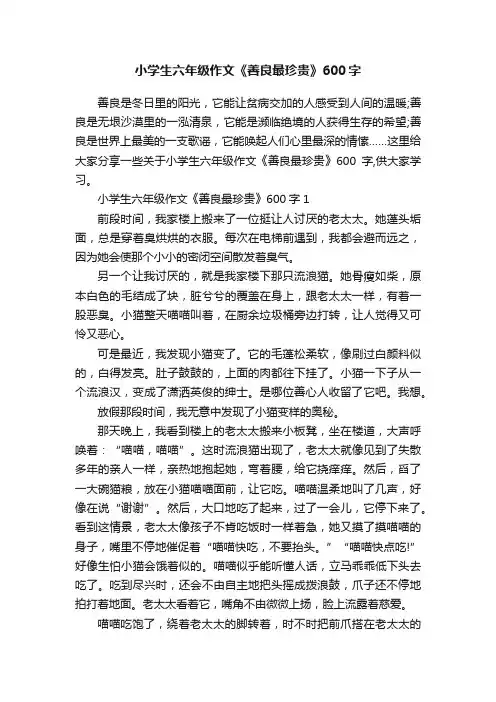 小学生六年级作文《善良最珍贵》600字