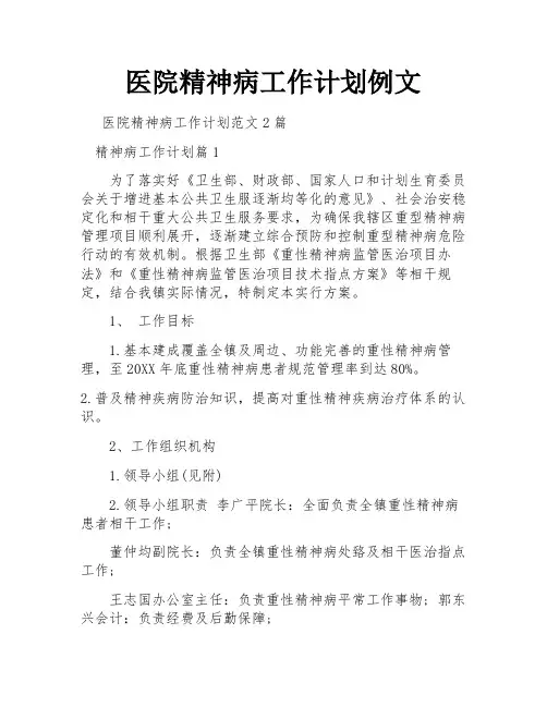 医院精神病工作计划例文