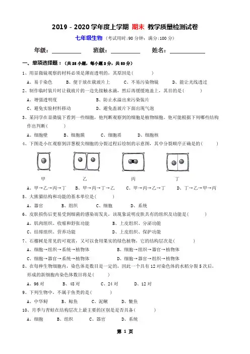 2019-2020学年度上学期 七年级生物 期末 教学质量检测试卷(附答案)