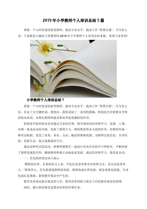 2019年小学教师个人培训总结5篇