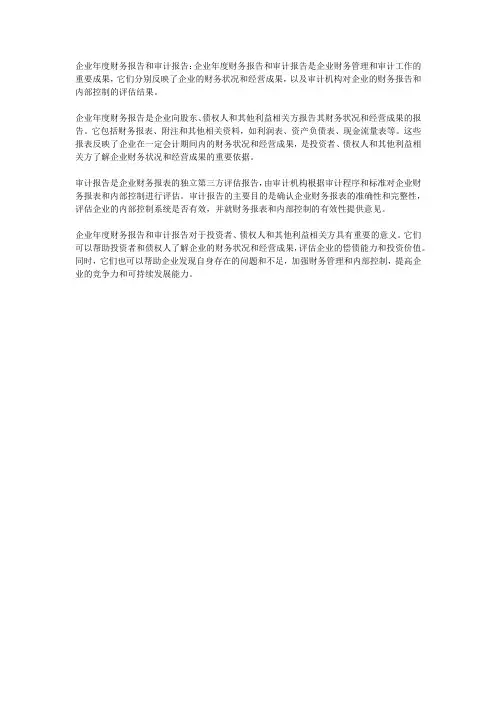 企业年度财务报告和审计报告