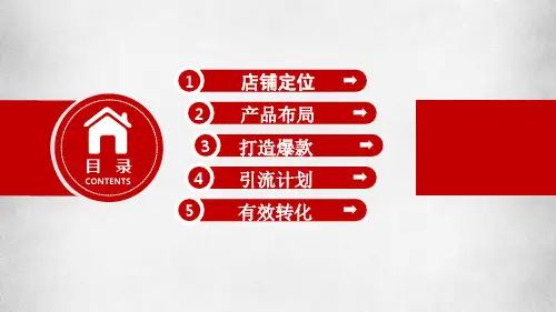 电子商务运营方案课件