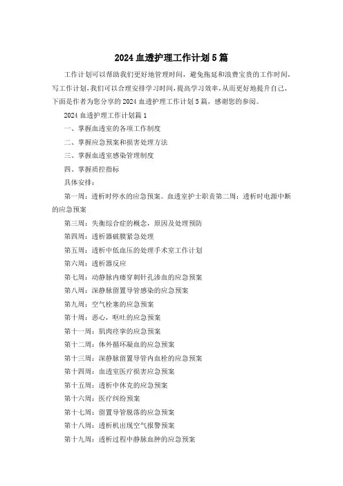 2024血透护理工作计划5篇