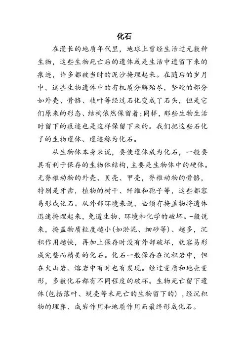 阅读理解《化石》附答案