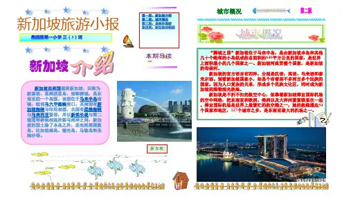 旅游小报模板
