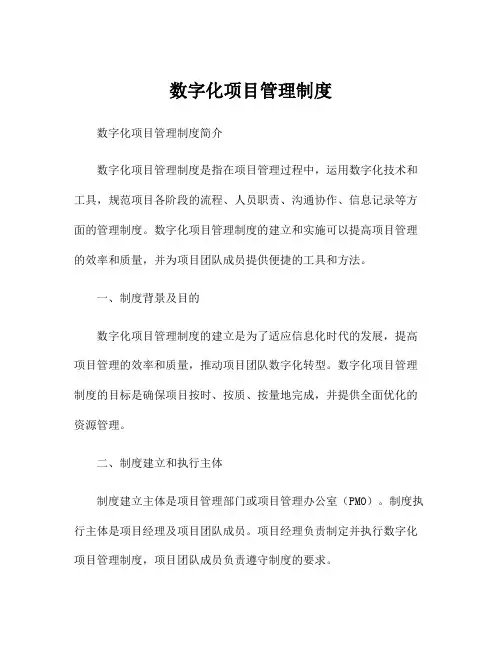 数字化项目管理制度