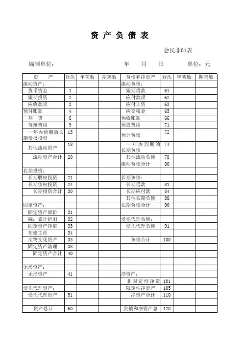 最新民间非盈利组织财务报表(资产负债表)EXCEL版