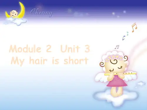 牛津深圳版英语二年级上册《Unit 6 My hair is short》课件3