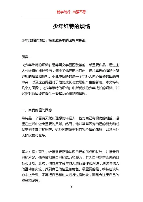 少年维特的烦恼