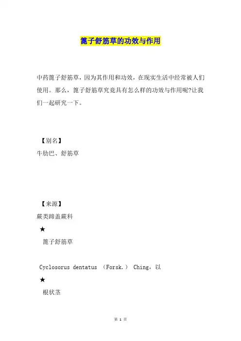 篦子舒筋草的功效与作用
